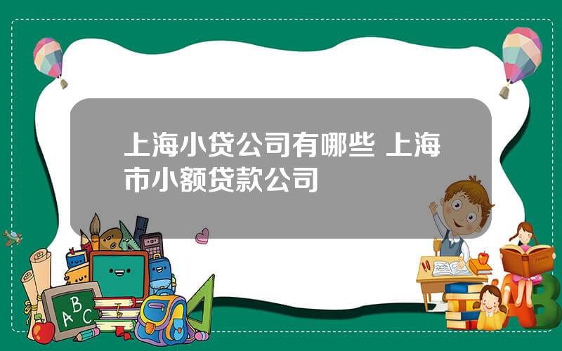 上海小贷公司有哪些 上海市小额贷款公司